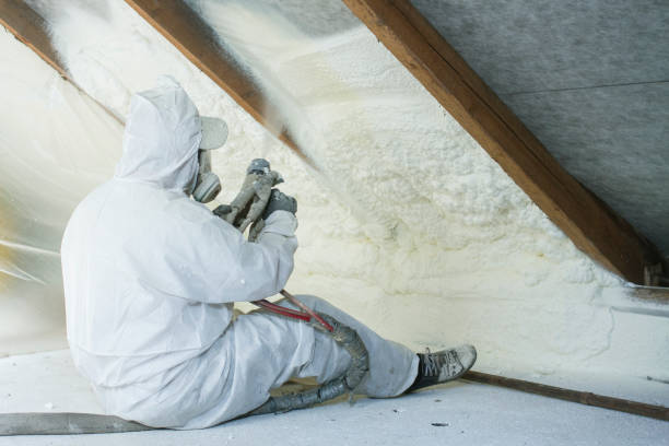 Beaver Dam Lake, NY Insulation Removal & Installation Company